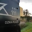 Dzika Plaża na Paprocanach / fot. Tychy24.net