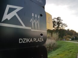 Dzika Plaża na Paprocanach / fot. Tychy24.net