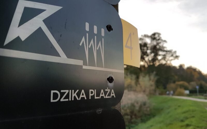 Dzika Plaża na Paprocanach / fot. Tychy24.net