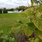 6 ofert na budowę strefy fitness w Parku Jaworek. Najtańsza opiewa na przeszło 127 tys. zł