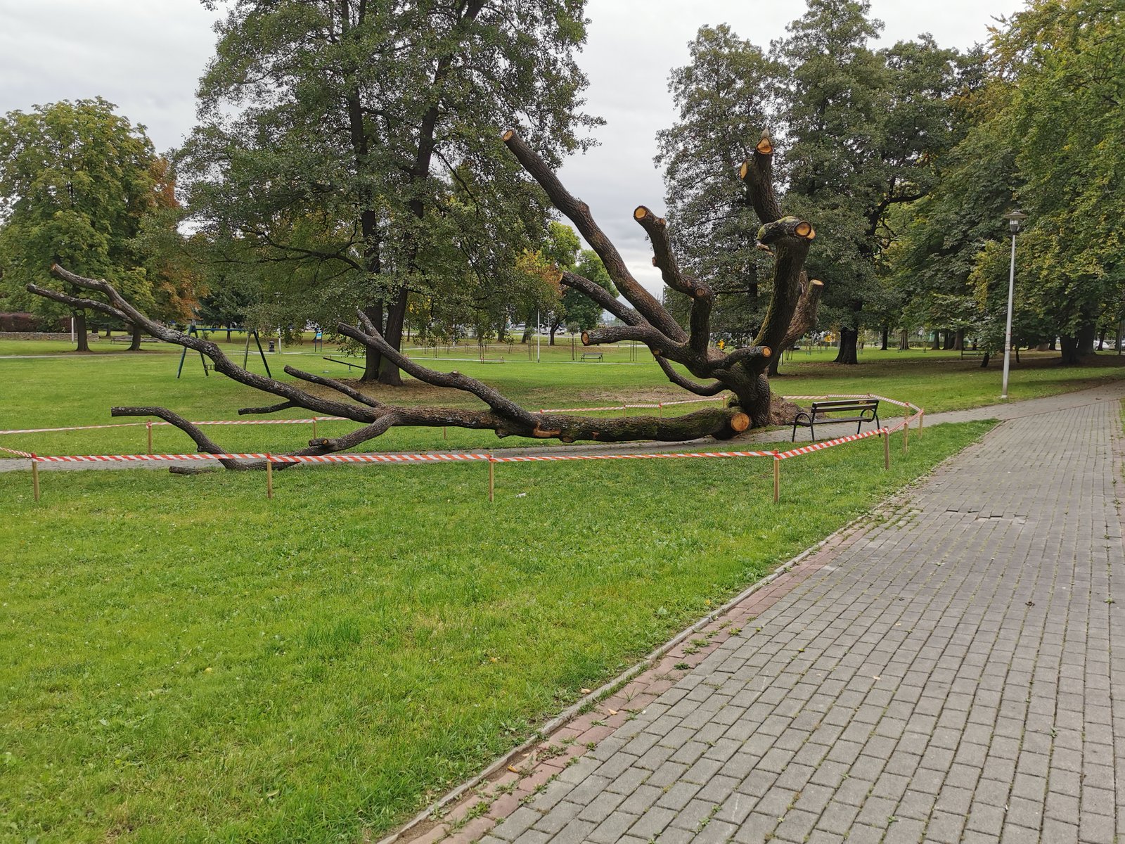 Powstanie toaleta publiczna w Parku Niedźwiadków. Za 500 tys. zł