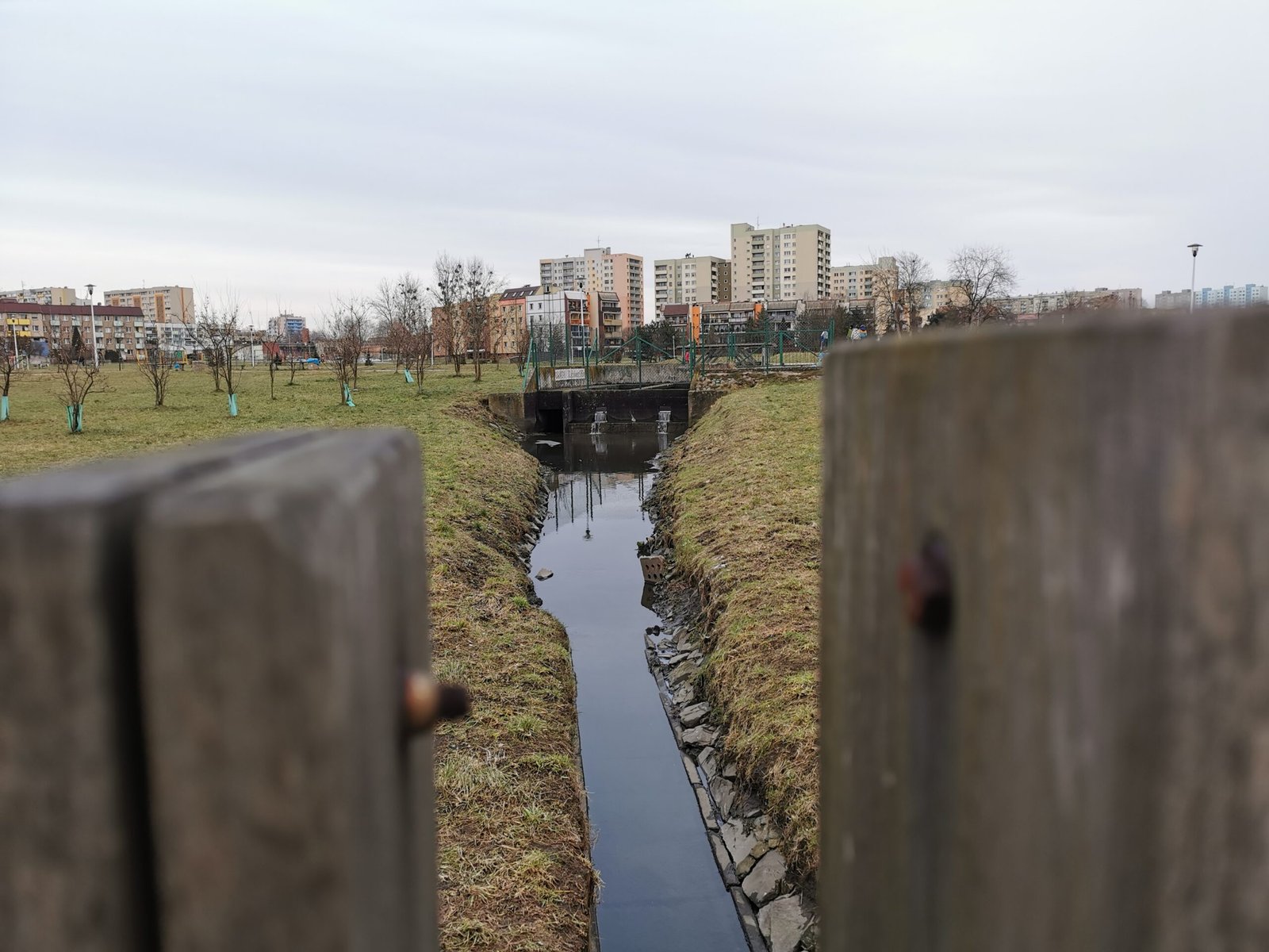 Miasto inwestuje w Park Jaworek. Powstanie strefa fitness