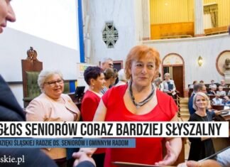 Głos seniorów coraz lepiej słyszalny. Dzięki Śląskiej Radzie ds. Seniorów i gminnym radom