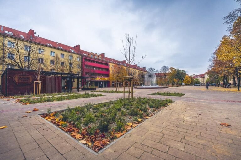 Plac Baczyńskiego zyskał po zazielenieniu. Kosztowało to prawie 500 tys. zł
