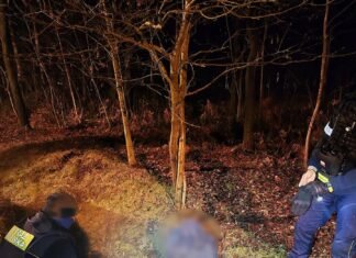 Kompletnie pijany mężczyzna wpadł do rowu z wodą na Paprocanach. Uratowali go