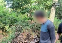 Tychy: Poszukiwany 45-latek ukrywał się kilka miesięcy w lesie. Mieszkał w zakamuflowanym namiocie