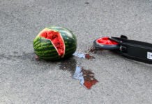 Policja i pogotowie apelują o kaski. Coraz więcej wypadków z udziałem rowerzystów i użytkowników hulajnóg