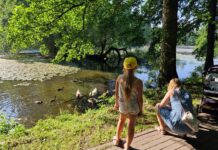 15 firm chce rewaloryzować Park Łabędzi w Tychach. Oferty sięgają przeszło 15 mln zł