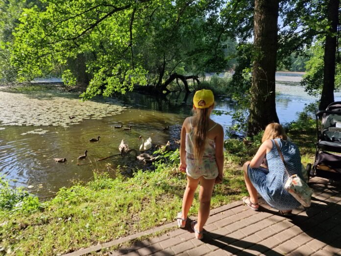 WhatsApp Image 2025-08-14 at 11.47.23