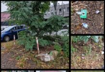 Zaniedbany i pełen śmieci teren przy Azecie. Radna chce, żeby miasto doprowadziło go do porządku