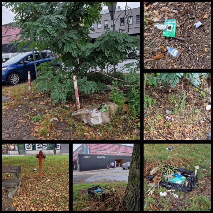 WhatsApp Image 2025-09-14 at 09.15.58