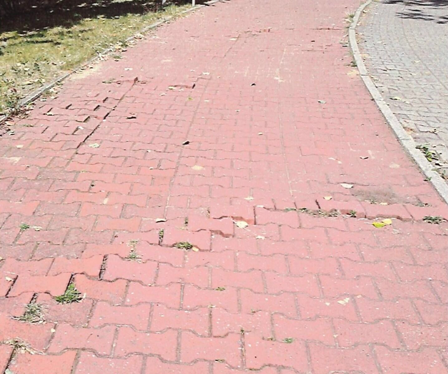 Suble - droga rowerowa / fot. Bip.umtychy.pl