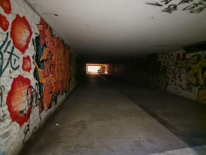 tunelnaaljanapawlaii_art