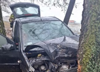 Wypadek na S1 między Tychami a Lędzinami. Ford przejechał 200 metrów przez łąkę i uderzył w drzewo