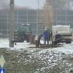 Mróz i śnieg, a w Tychach sadzili drzewa. Miasto tłumaczy sytuację