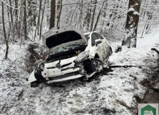 Tychy: Taksówka wylądowała w rowie i uderzyła w drzewo. Podróżowały nią trzy osoby