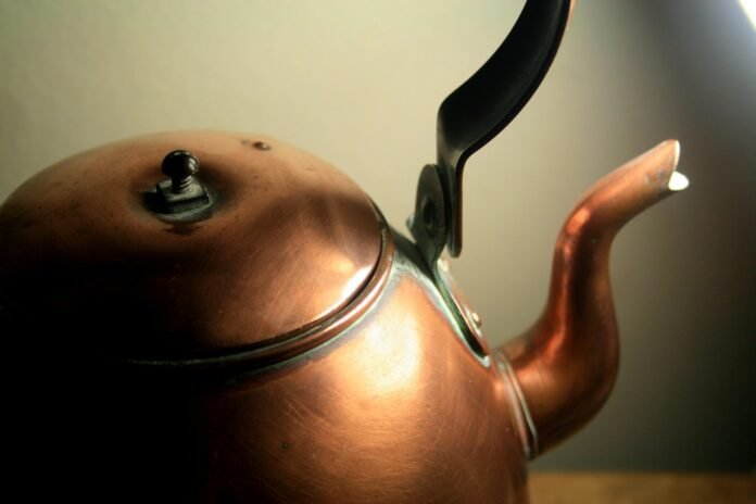 bluesnap-copper-kettle-276939_1920