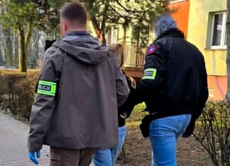 Cudzoziemcy mieli być wykorzystywani na Śląsku do pracy w firmach z branży transportowej. Są zatrzymania i areszty