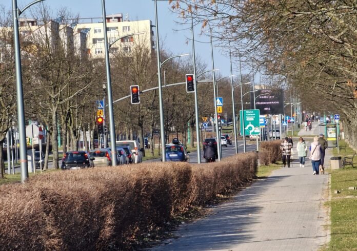 WhatsApp Image 2026-03-16 at 11.23.35