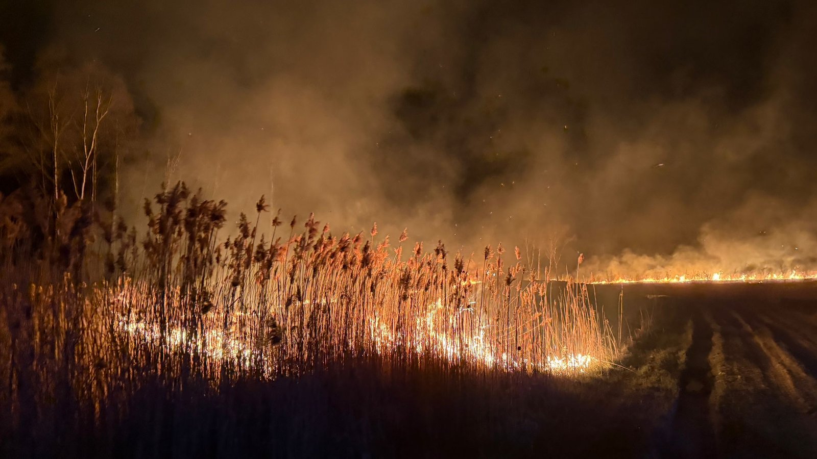 Potężny pożar na granicy Lędzin i Chełmu Śląskiego. Interweniowali m.in. strażacy z Tychów