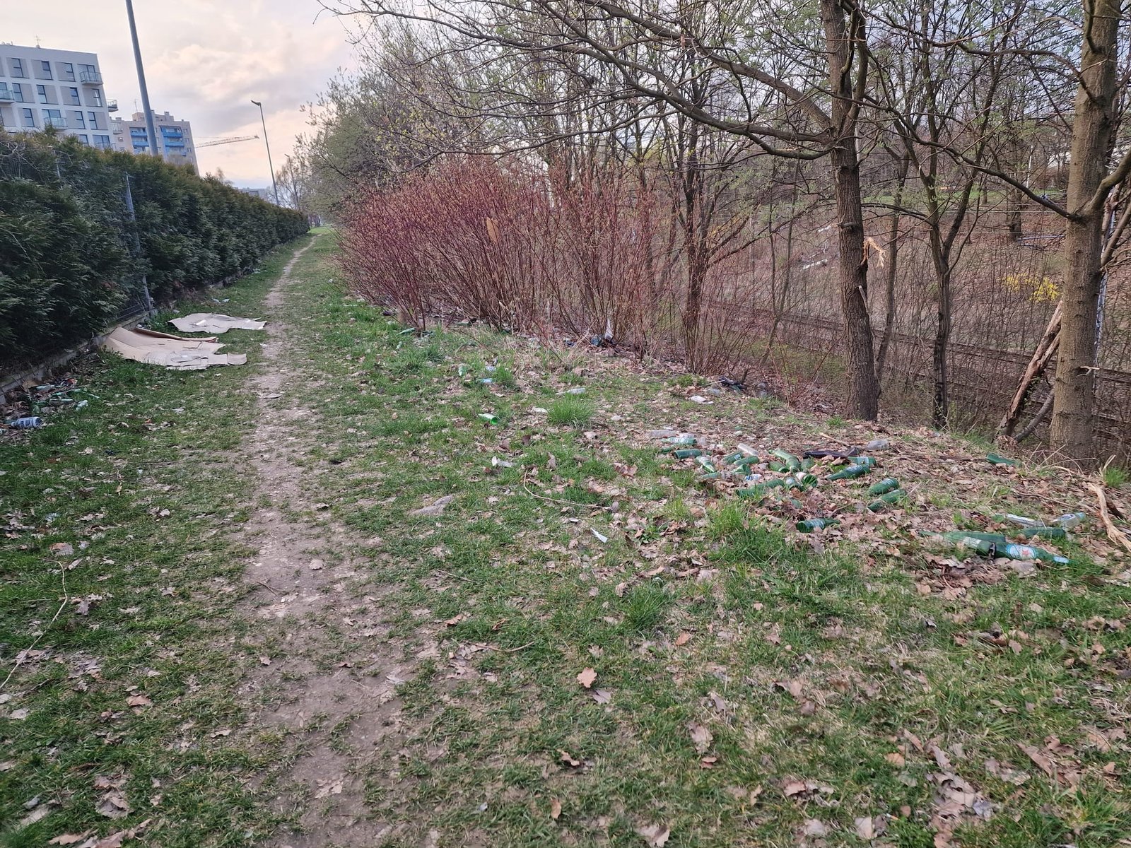 Część nasypu kolejowego w Tychach będzie posprzątana przez PKP. Miasto chce, żeby spółka zajęła się większym obszarem