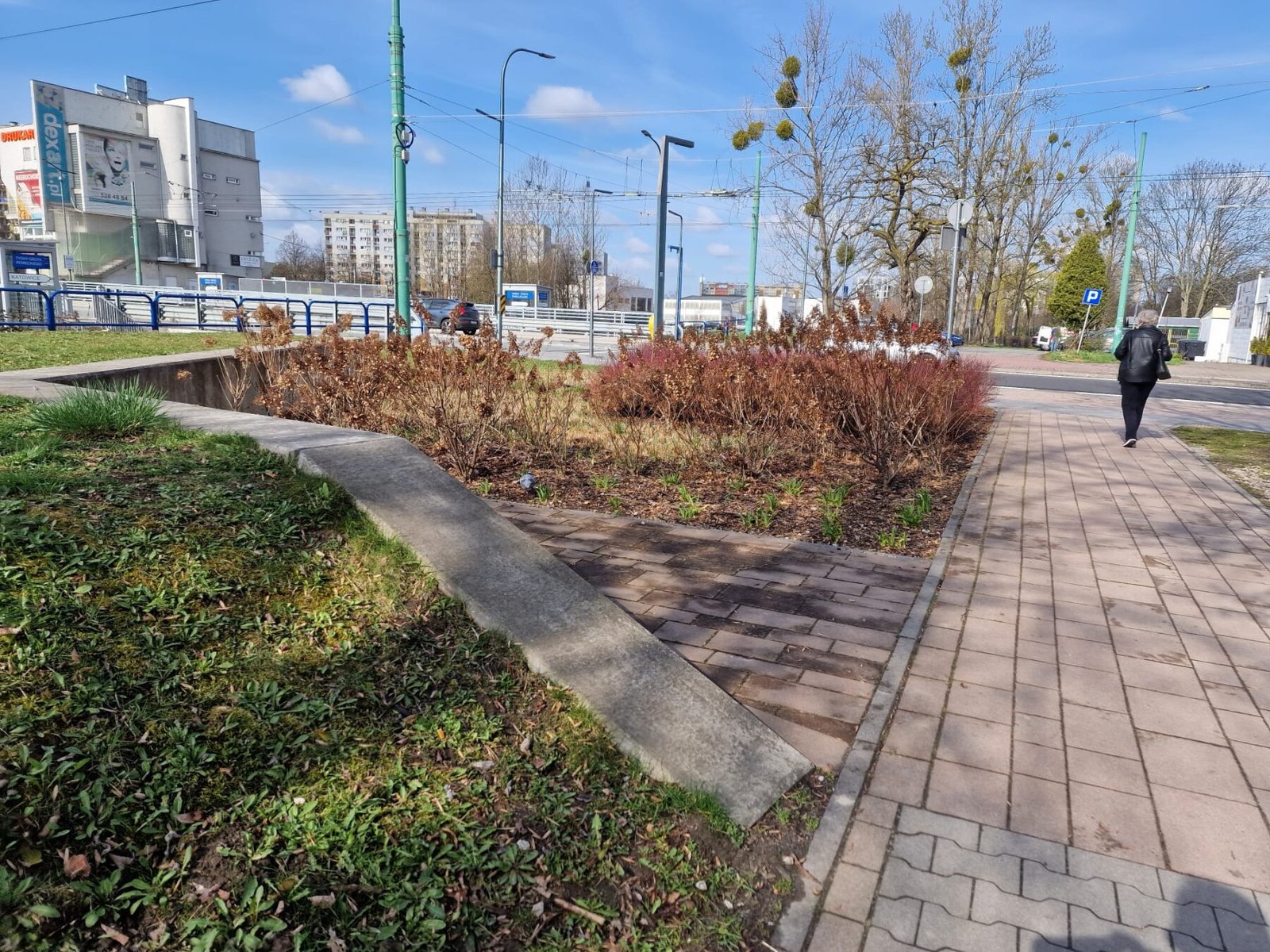 Codziennie Straż Miejska ma patrolować rejon skweru Marii i Lecha Kaczyńskich. Za dużo alkoholu w tym rejonie miasta