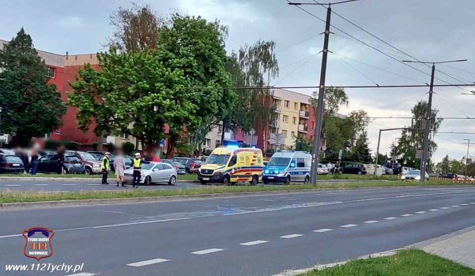 Pies wbiegł pod samochód w Tychach. Zwierzę nie przeżyło