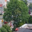 Interwencja na al. Jana Pawła II / fot. użytkownik Tychy24.net