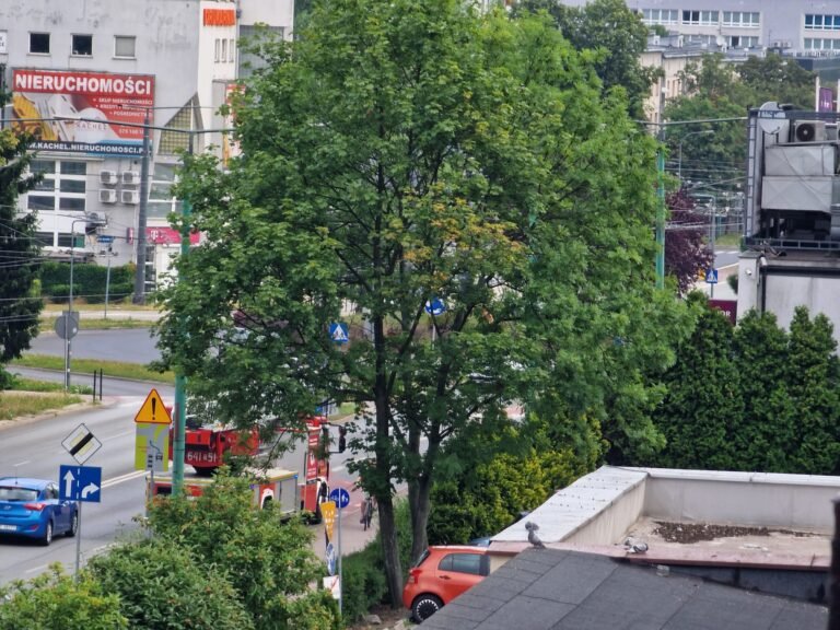 Interwencja na al. Jana Pawła II / fot. użytkownik Tychy24.net