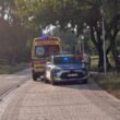 Interwencja na alejkach spacerowych / fot. Tychy24.net