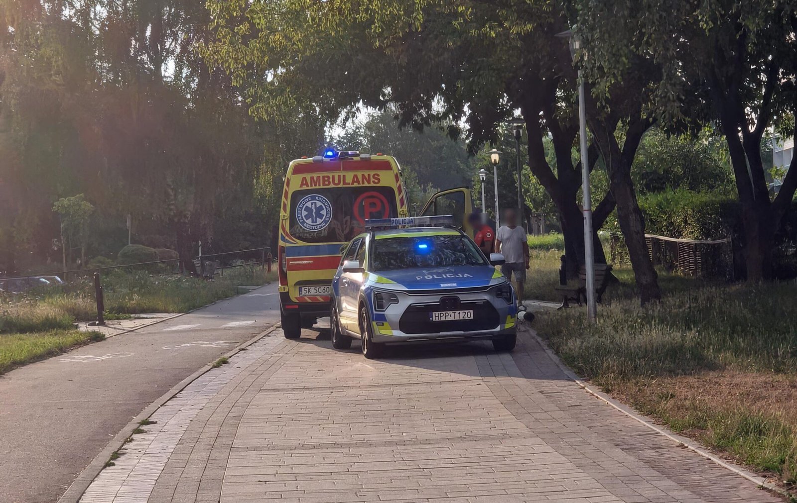 Interwencja na alejkach spacerowych / fot. Tychy24.net