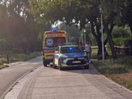 Interwencja na alejkach spacerowych / fot. Tychy24.net