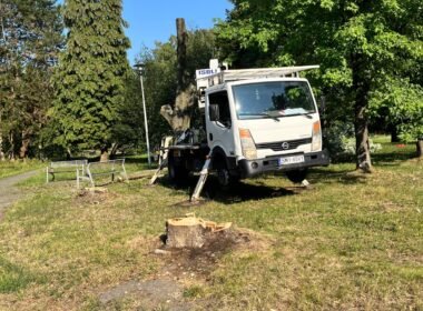 Wycinka w Parku Niedźwiadków / fot. użytkowniczka Tychy24.net