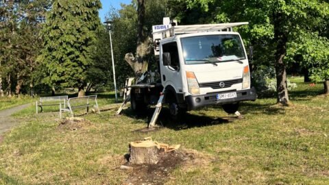 Wycinka w Parku Niedźwiadków / fot. użytkowniczka Tychy24.net