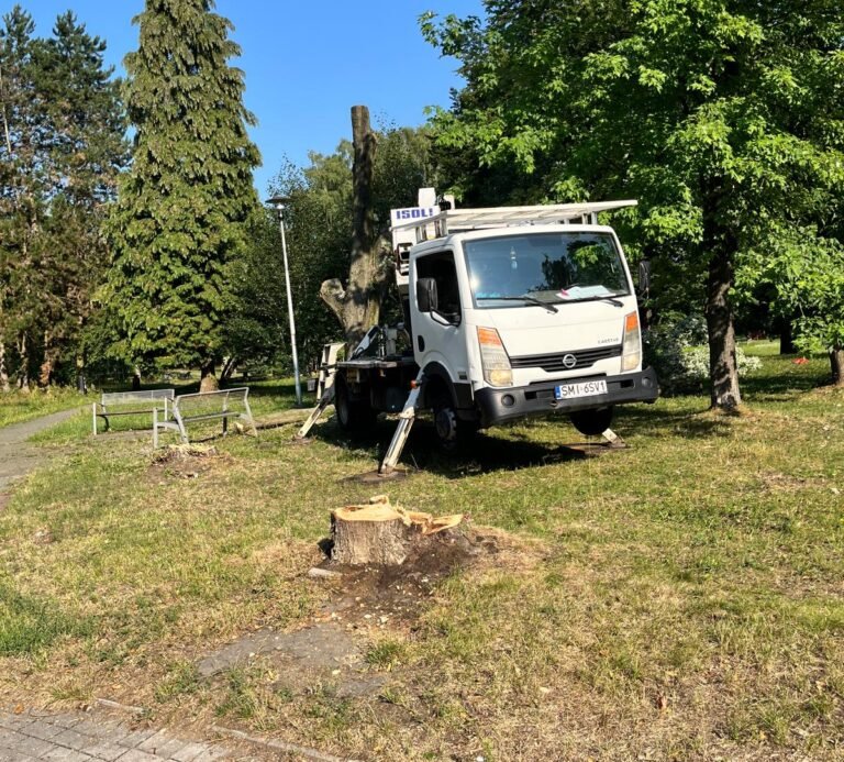 Wycinka w Parku Niedźwiadków / fot. użytkowniczka Tychy24.net