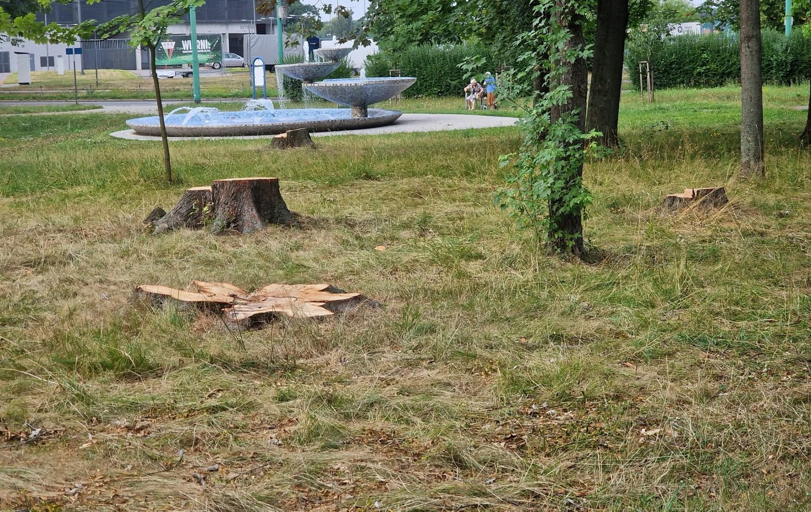 Park Niedźwiadków / fot. Tychy24.net