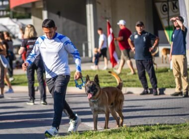 Mistrzostwa Świata Psów Obronnych w Tychach / fot. UM Tychy