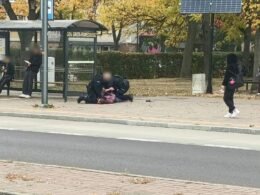 Zatrzymany mężczyzna na ul. Grota-Roweckiego / fot. 112Tychy.pl