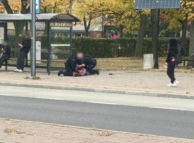 Zatrzymany mężczyzna na ul. Grota-Roweckiego / fot. 112Tychy.pl